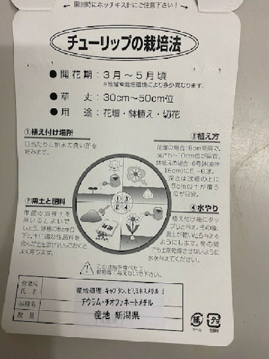 楽天市場 チューリップ球根 送料無料 10球 色 混合 国産 プランター栽培 地植え可能 育てやすい花 10 1月植え 3 4月開花 荒川種苗 楽天市場店