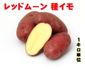 レッドムーン じゃがいも種芋 1キロ 北海道産　令和5年度産 種サイズ混合