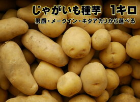 男爵 キタアカリ メークインの中から選ぶ　種芋　1キロ（約7〜13コ）S,M,L　北海道産種馬鈴薯　検査合格済　じゃがいも種芋