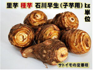 3/���`�����\�� �ΐ쑁�� ������� 1�L���� 12�`20�R���@�q����H�p�ɂ��܂��B �����@�T�g�C���@�s�@�˂΂肪����ǂ�ȗ����ł�����