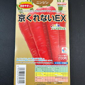 ȂEXlQ  200ybgq ^LCz