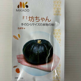 坊ちゃんカボチャ 種 8粒入　手のひらサイズ　食べきりやすい大きさ　メーカーみかど協和　南瓜　レンジでチンできる　着果後約40日で収穫　ホクホク系で美味しい　球重約500g