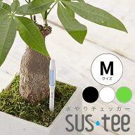 【サスティー Mサイズ シングルパック（個包装）】sustee グリーン ホワイト ブラック 5〜6号鉢用 水やり…