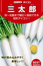 三太郎 大根 種 好みの大きさで収穫！秋・春まき可能
