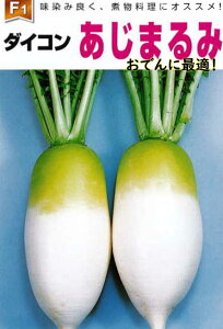 ܂ 卪  ł卪