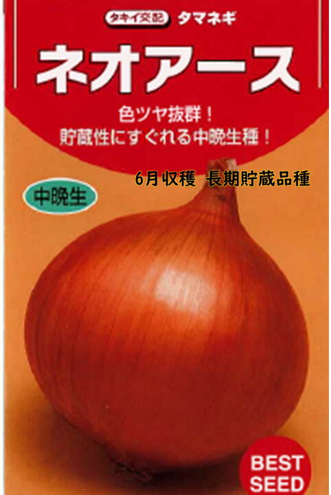 楽天市場】玉ねぎ種 ネオアース 中晩生品種 タキイ交配 : 荒川種苗 
