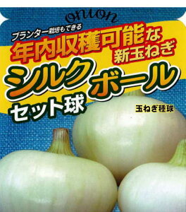 7/{` z[ʂ˂ 30 i햼 VN{[  z a_
