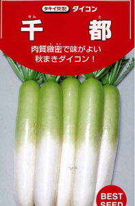 s 卪  悵ǂ~lɂߐ卪 ^LCz