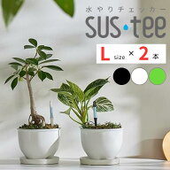 サスティー Lサイズ 2本 グリーン ホワイト ブラック 7号以上の鉢用