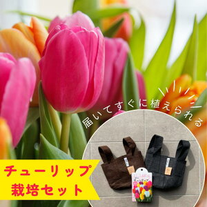 `[bv ͔|Zbg S(3.8LA5)EM(8LA7jsDz [c|[` |{y |{y