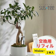 サスティーリフィルMサイズ用 中芯（リフィル）2本入 水やりチェッカー中芯交換用