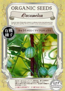 �}�C�N���L���E�� ��25��