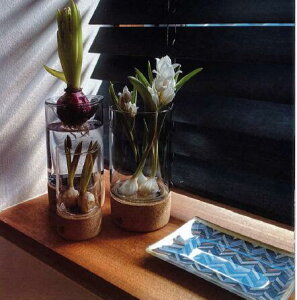 soaknCh|jbNX|bg STCY