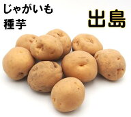 7年産 春植え 出島 1kg じゃがいも 種芋 広島県 長崎県産 秋植え 春植え 種馬鈴薯検査合格済