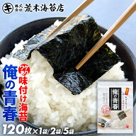【最大10％OFFクーポン】 海苔 訳あり 【送料無料】 味付け海苔プレミアム 俺の青春 1/8海苔120枚 おいし…