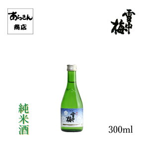 ᒆ~ イ΂ iĎ300mlj n V