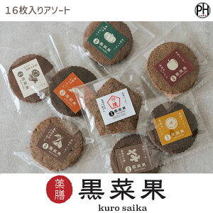 VE؉ʁiN[ENTCJj16A\[g