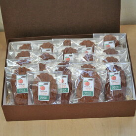 【送料込・包装済】オレンジ風味のチョコレートマドレーヌ20個入バレンタイン焼き菓子贈答ギフト