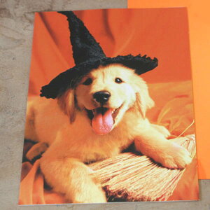 nEB[J[hũgo[v yO[eBOJ[hEMtgJ[hEbZ[WJ[hEҏEjEEgreeting card messagezHalloween Card from U.S.A.ylR|Xz
