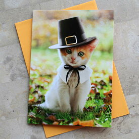 thanks Giving card『シルクハットをかぶった子猫』勤労感謝カード（インポートカード）cat【ネコポス可】
