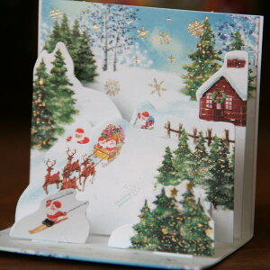 ̃NX}XJ[h(~jTCY)uT^̃XL[ƃgiJĈvP233yO[eBOJ[hEMtgJ[hEbZ[WJ[hEgreeting card messagezylR|Xz