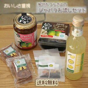 yza̎RYkWoihdhZbg`V_IB炬R̂΂IW̃\[_Es[Enj[}[}[hEt^Eg`ԕ