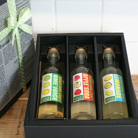 【送料込・包装のし対応ギフト】「WAKAYAMA CRAFT SODA & JUICE」3本入りギフトボックス～選べる和歌山産フルーツを使った自家製ジュース、ソーダ、スカッシュ、ジンジャーエール・・・【父の日・お中元・プレゼント・お祝い・お礼・贈答】