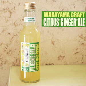 WAKAYAMA CRAFT SODA 「シトラスジンジャーエール(旧スパイシーシトラスソーダ)」1本 和歌山産レモン・ジャバラ・新生姜入りスパイシーで爽やかな大人のスパークリングジュース・サイダー2