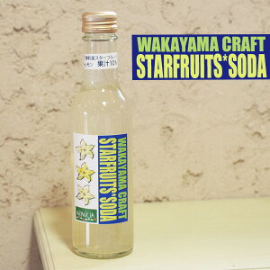 WAKAYAMA CRAFT SODA uX^[t[c\[_v1{@a̎RÒYX^[t[c+ʏ`10@gsJȍ̃Xp[NOW[XEnTC_[Ntg\[_200ml