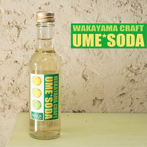 WAKAYAMA CRAFT SODA u썂~\[_v1{@a̎R쒬Y~ʏ`16@u₩ȑl̃Xp[NOW[XEnTC_[200ml 2025
