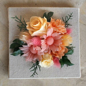 yzuveBt[LoXvvU[uht[̃fCW[E[YEJ[l[Ṽtbgt[AWy̓EzCgf[EEaEiEƁE