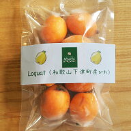 【冷凍国産フルーツ】訳あり！びわ（和歌山県海南市下津町上山さんが減農薬栽培したビワの出荷格外品・変…