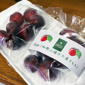 yⓀYt[cznubhX^[via̎R{sn񂪌_͔|XFvj܂邲ƃV[xbgEEVbvEWER|[g200g 2025