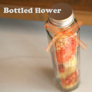 u{ghhht[vvU[uht[AWg(IW)n[oE`J[l[VEVo[f[W[EEJX~\E`Ԃ̃Mtg