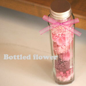 u{ghhht[vvU[uht[AWg(sN)n[oE`J[l[VEVo[f[W[EEJX~\E`Ԃ̃Mtg