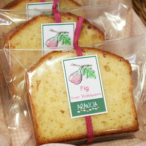 ̃pEhP[LiĂَqj`a̎Rs̃C`WN 2025