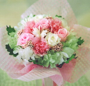 yz"Spring pastel"iXvOpXejvU[uht[̂̃u[P y̓EzCgf[EEaEiEƁEސEEwEAEEjEz