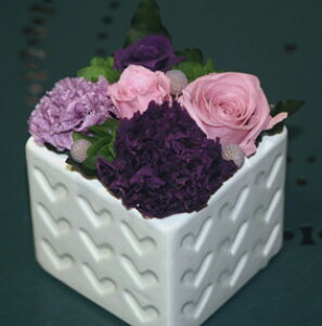 yzvU[uht[̃J[l[VƃõAWgun[gL[uv(p[vj y̓EzCgf[EEaEiEƁEސEEwEAEEj