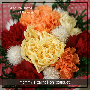 yzmammy's carnation bouquetired & orangejvU[uht[̃J[l[Ṽu[Py̓EzCgf[EEaEiEƁEސEEwEAEEjEz