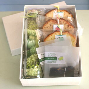 ut[eB`O[vvU[uht[̃KX{gAWƘa̎RYt[c̏Ăَq3ƃt[ceB̋lߍ킹yv`MtgEv[gEjEzyԂƃX