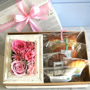 yzvU[uht[~jt[Ƃَq̃Mtg{bNX(sN)[Y&J[l[V̊z,a̎RYt[c̏Ăَq,OXg̋lߍ킹a,,j