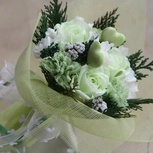 "�y�������z""Green Heart""(�O���[���n�[�g)�n�[�g�̃s�b�N�����炵���v���U�[�u�h�t�����[�̃u�[�P �y��̓��E�z���C�g�f�[�E�����E�a�����E���i�E���ƁE�ސE�E���w�E�A�E�E���j���E����z