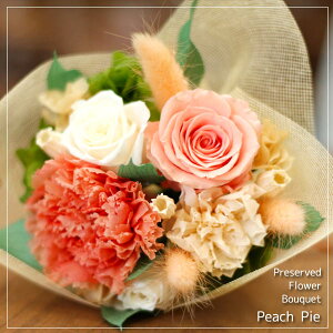 yz"Peach Pie"vU[uht[̃oƃJ[l[Ṽu[Pus[`pCv y̓EzCgf[EEaEiEƁEސEEwEAEEjEz