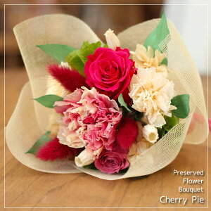 yz"Cherry Pie"vU[uht[̃oƃJ[l[Ṽu[Pu`F[pCv y̓EzCgf[EEaEiEƁEސEEwEAEEjEz