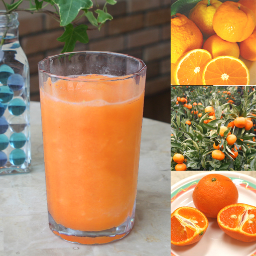 お手軽価格で贈りやすい和歌山産「オレンジMIXスムージー」農家さんから直接分けてもらう柑橘類（みかん・清見・バレンシア等   レモン）＋みかんの花の蜂蜜のフローズンフルーツジュース・冷凍果物