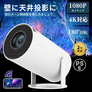 y2Nԕۏ؁zvWFN^[ ^ AhCh vWFN^[ V䓊e 4KΉ V vWFN^[ Q Ȃ ^&180°] Px `␳ 10000lm vWFN^[ ƒp 5G Wi