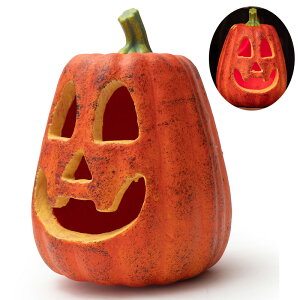 XpvL^ dr nEB   ڂ nEB ڂ u nEBڂ  24cm nEB[pvL^ nEB[ u 