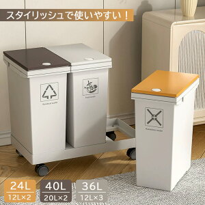 キャスター ゴミ箱 2分別」の人気商品一覧・価格比較 - 価格.com