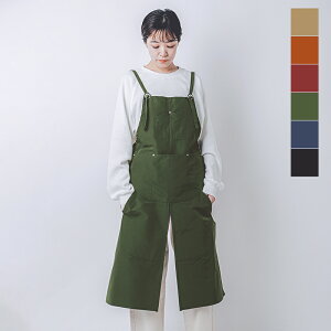 NAPRON �i�v���� 60/40�N���X �X�v���b�g �G�v���� np-ap21-20a ���f�B�[�X