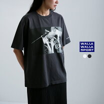 楽天市場】チャールズ・ダーウィン tシャツの通販